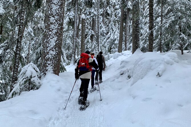 Whistler Lost Lake Snowshoeing and Village Tour - Inclusions