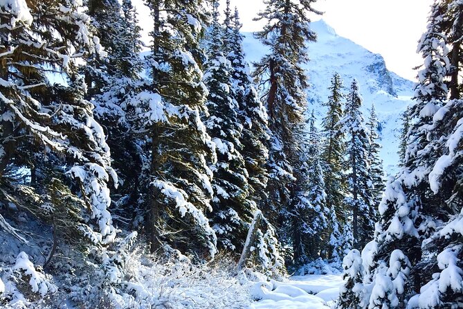 Whistler Lost Lake Snowshoeing and Village Tour - Tour Duration and Group Size