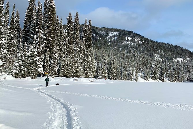 Whistler Lost Lake Snowshoeing and Village Tour - Enhance Your Experience