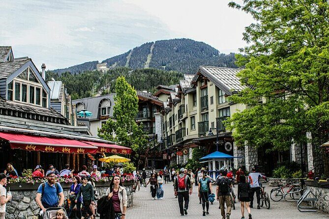 Whistler Sea 2 Sky Gondola, Shannon Falls Small Group Max 12 Tour - Porteau Cove: A Peaceful Final Stop
