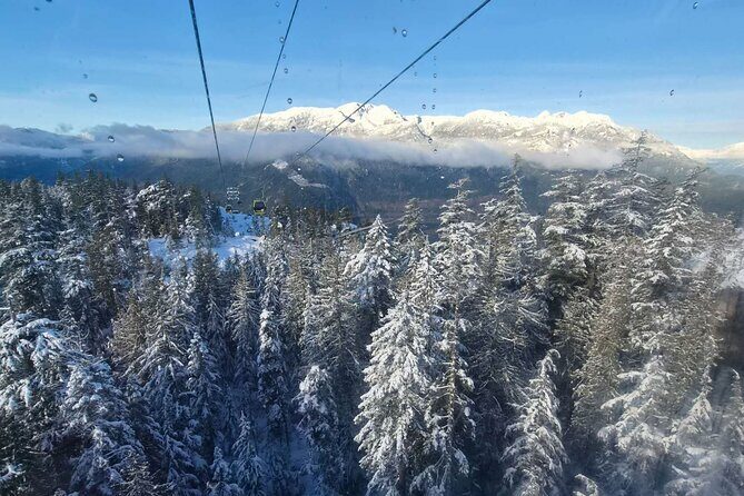 Whistler Sea 2 Sky Gondola, Shannon Falls Small Group Max 12 Tour - Authentic Experiences Backed by Reviews