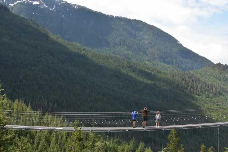 Whistler, Sea to Sky Gondola, and Shannon Falls Day Trip - Why This Tour Offers Great Value