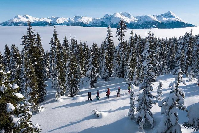 Whistler Snowshoeing Adventure - Meeting and Pickup