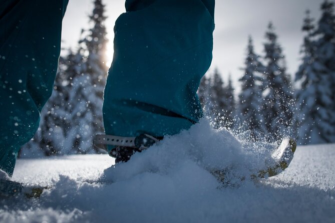 Whistler Snowshoeing Adventure - Snowshoeing Experience