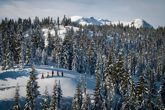 Whistler Snowshoeing Adventure - Physical Fitness Level