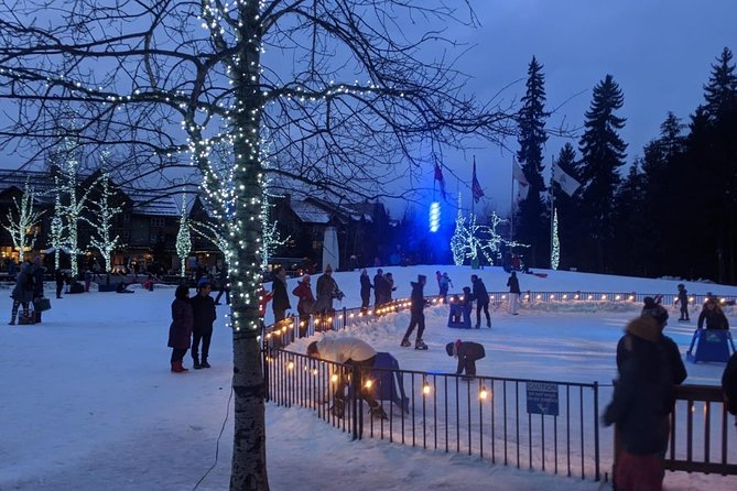 Whistler Squamish Day Tour From Vancouver Private - Inclusions