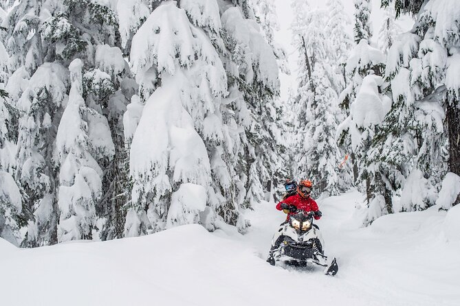Whistler Wilderness Run Snowmobile Tour - Requirements and Considerations