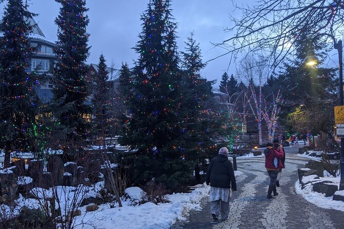 Whistler Winter Adventure Tour - Private Transportation Convenience