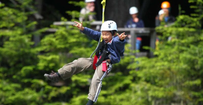 Whistler Zipline Experience: Ziptrek Bear Tour - Key Points