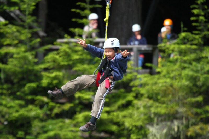 Whistler Zipline Experience: Ziptrek Bear Tour - Highlights of the Experience