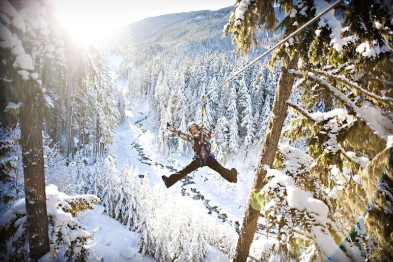 Whistler Zipline Experience: Ziptrek Bear Tour - Safety Considerations