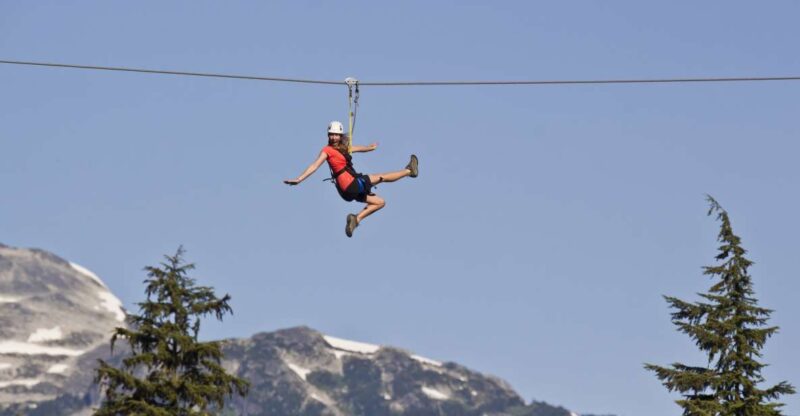 Whistler Zipline Experience: Ziptrek Eagle Tour - Highlights of the Experience