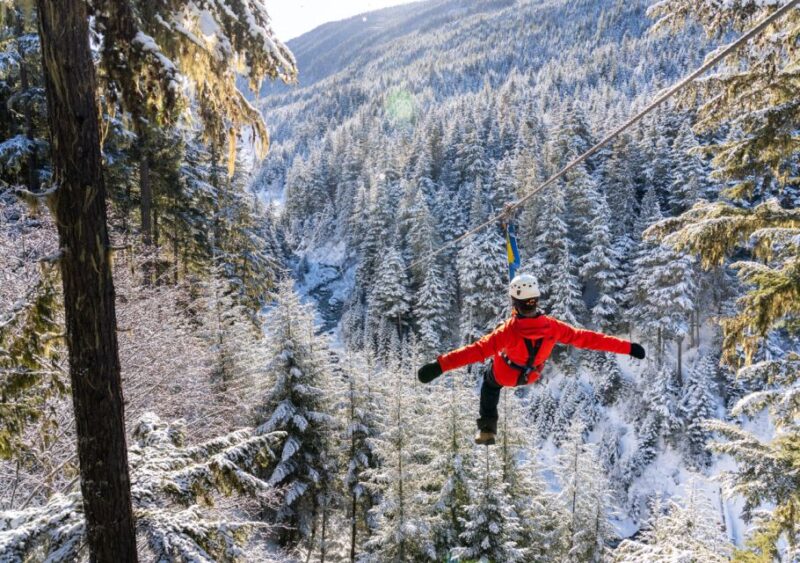 Whistler Zipline Experience: Ziptrek Eagle Tour - Safety and Restrictions