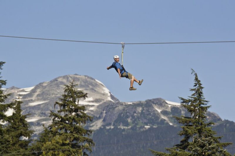 Whistler Zipline Experience: Ziptrek Eagle Tour - What to Expect