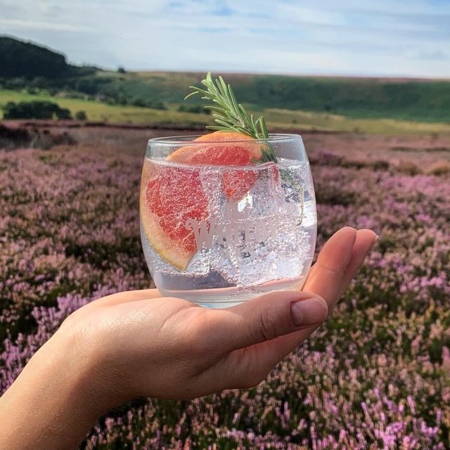 Whitby: Guided Distillery Tour With Gin Tasting - Tour Overview