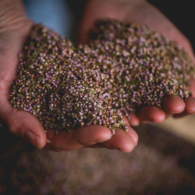 Whitby: Guided Distillery Tour With Gin Tasting - Inclusions