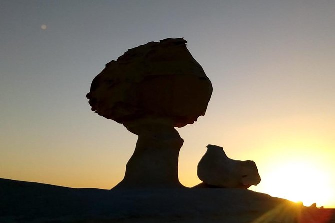 White Desert and Bahariya Oasis 2 Days With Camping Experience - Tour Inclusions