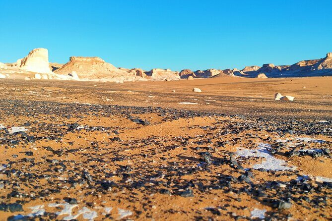 White Desert and Siwa Oasis 3 nights 4 Days Tour From Cairo - Who Should Consider This Tour?