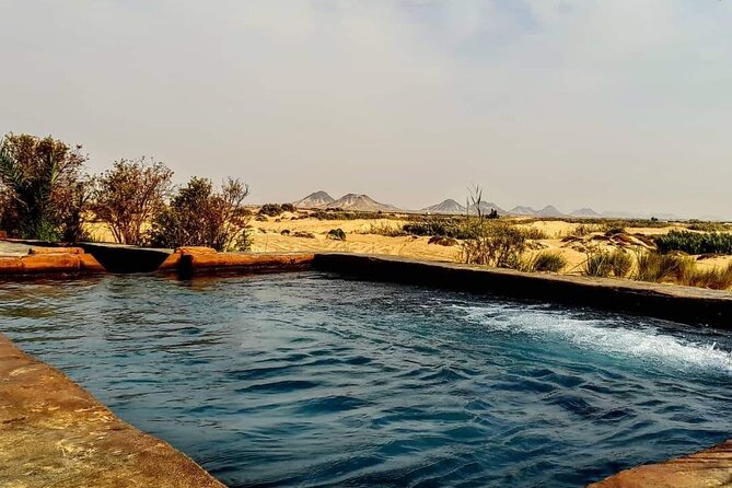 White Desert Camping and Baharya Oasis Overnight From Cairo - Bahariya Oasis