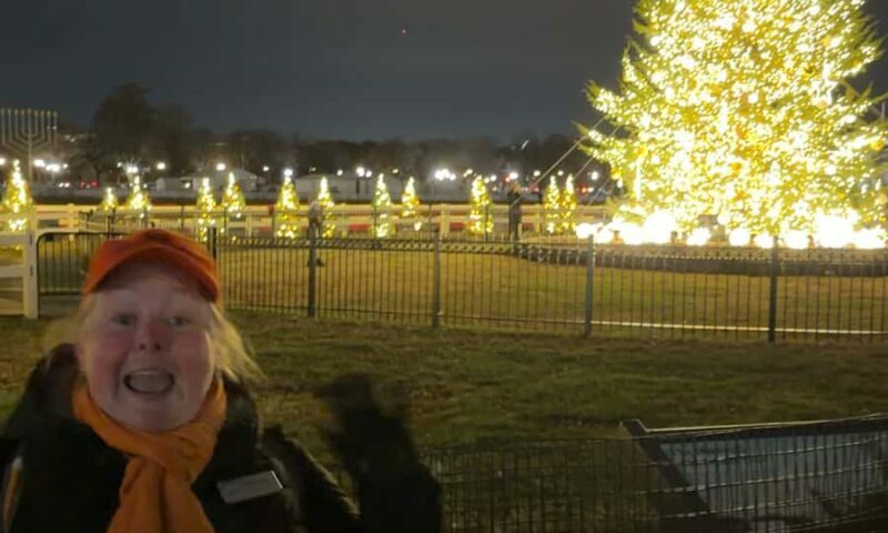 White House National Christmas Tree & Holiday Light Bus Tour - Key Points