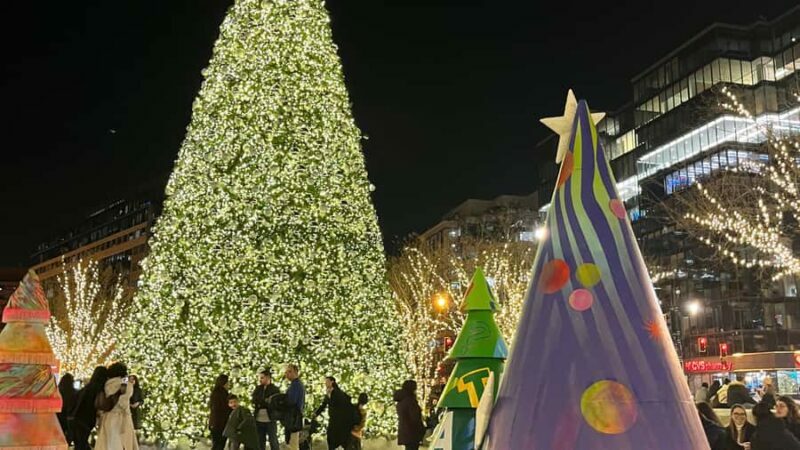 White House National Christmas Tree & Holiday Light Bus Tour - A Balancing View on Pricing and Value
