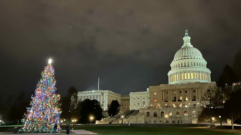 White House National Christmas Tree & Holiday Light Bus Tour - The Sum Up: Who Will Love This Tour?