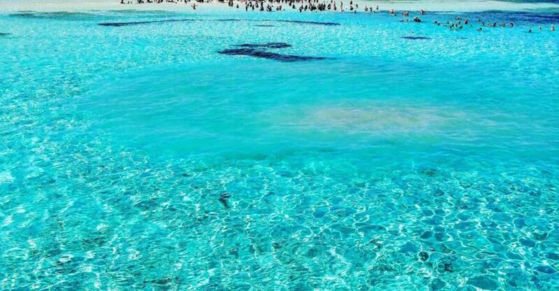 White Island & Ras Mohamed National Park Boat Trip - Key Points
