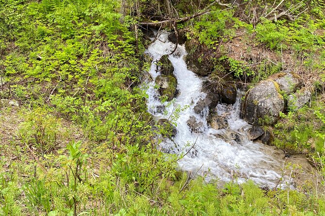 White Pass Deluxe Tour From Skagway - Exploring Frazier Valley