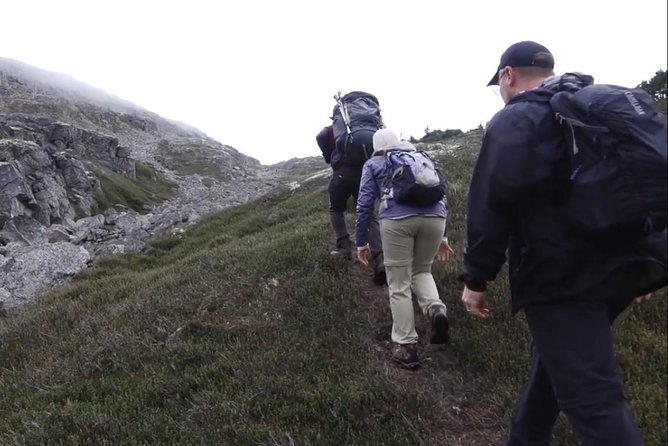 White Pass Mountaineering Adventure - Trekking Through Wildflower Fields
