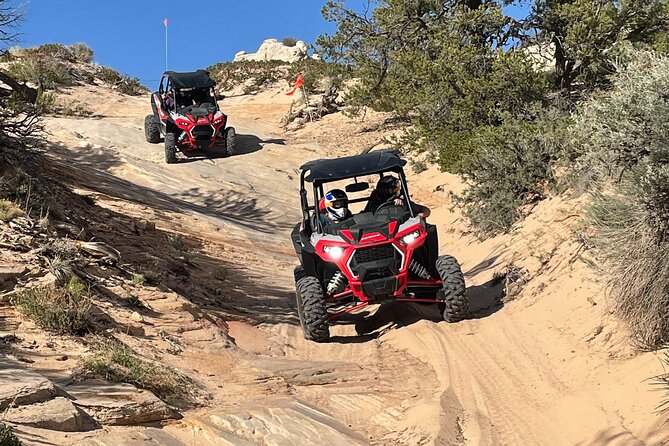 White Pocket Guided ATV (You Drive) or 4WD (Guide Drives) Tour - Health and Safety Guidelines