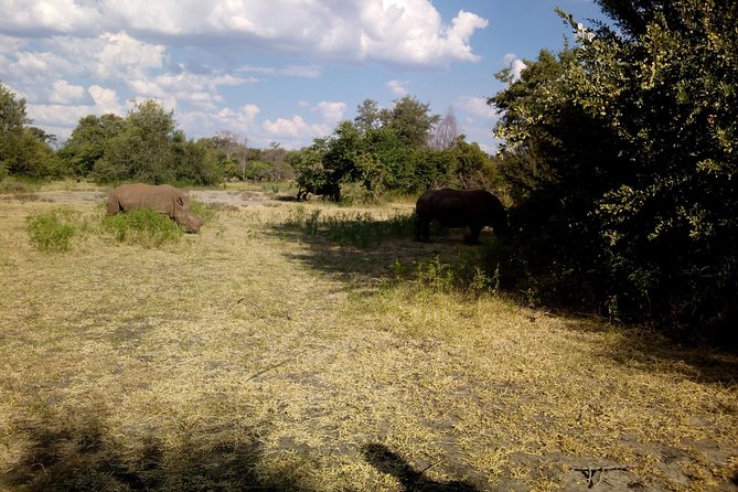 White Rhino Walk in the Mosi Oa Tunya - Safety Precautions