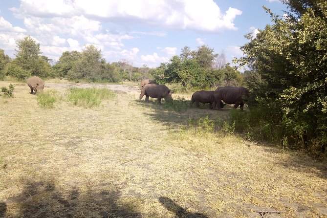White Rhino Walk in the Mosi Oa Tunya - Inclusions and Logistics