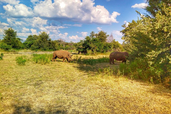 White Rhino Walk in the Mosi Oa Tunya - Accessibility and Participation