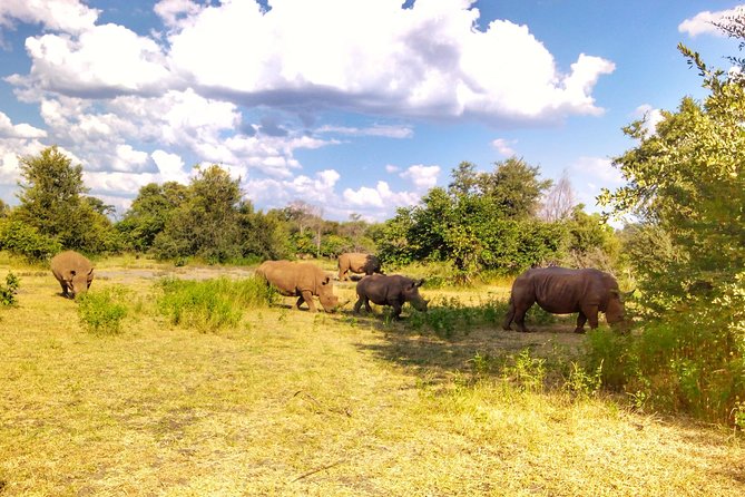 White Rhino Walk in the Mosi Oa Tunya - Pricing and Cancellation Policy