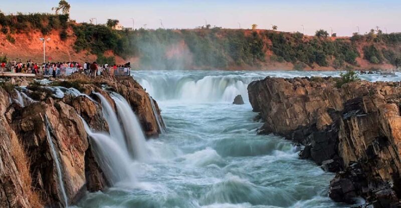 White Tiger National Park Tour in Madhya Pradesh - Itinerary Highlights