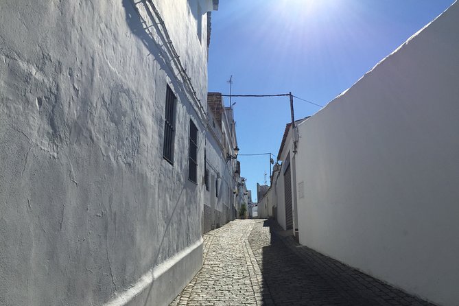 White Village of Cadiz and Ronda - Pricing, Booking, and Cancellation