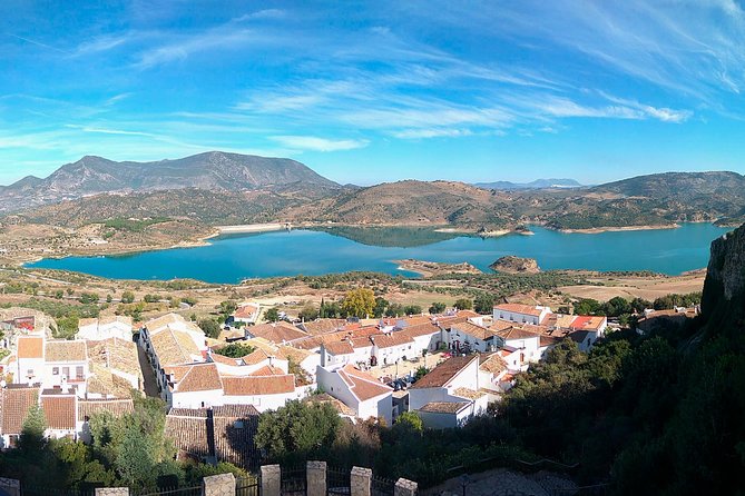 White Villages and Ronda Guided Day Tour From Seville - Discovering Mediterranean Forests