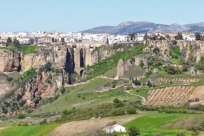 White Villages and Ronda Guided Day Tour From Seville - Tasting Olive Oil