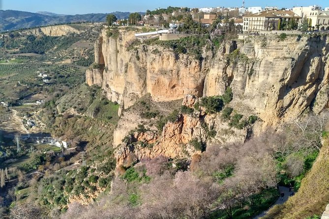 White Villages and Ronda Guided Day Tour From Seville - Practical Information