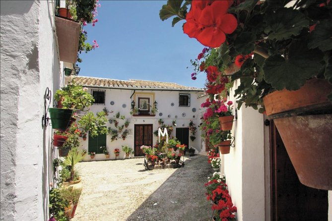 White Villages and Ronda Two Days Tour From Seville - Tasting Local Wines