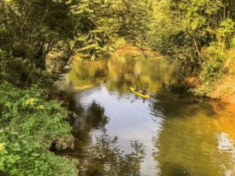 White Water Kayaking in Udugama - Key Points