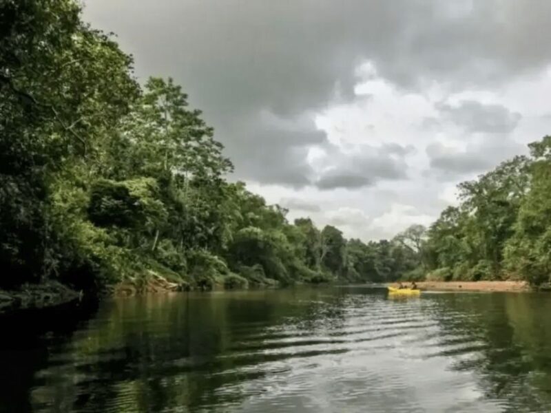 White Water Kayaking in Udugama - Detailed Tour Information