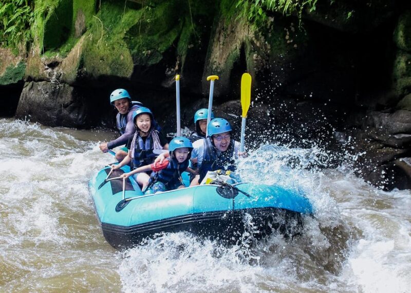 White Water Rafting Adventure on Ubud Ayung River - Scenic Landscapes