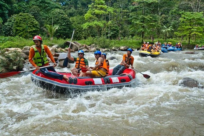 White Water Rafting Adventure Tour From Phuket - Customer Feedback