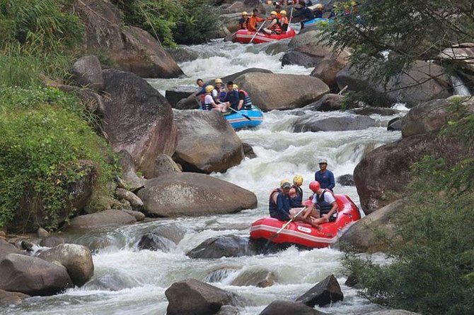 White Water Rafting Adventure Tour From Phuket - Animal Welfare Considerations