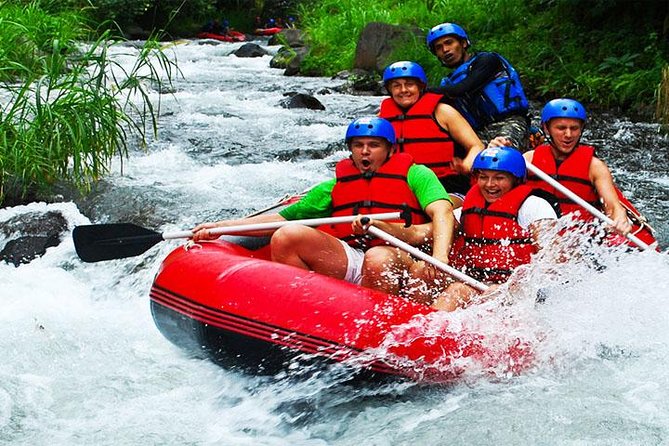 White Water Rafting Adventure With Lunch and Return Transfer Including - Overview and Experience