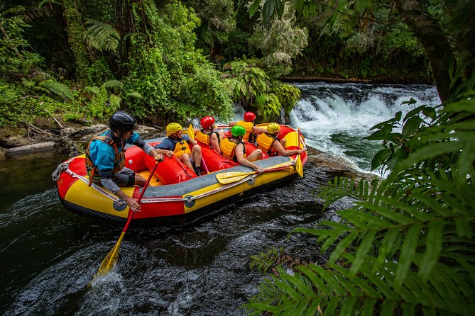 White Water Rafting - Kaituna Cascades, The Originals - Thrilling Ride Down Tutea Falls
