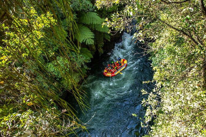 White Water Rafting - Kaituna Cascades, The Originals - Positive Customer Ratings and Feedback