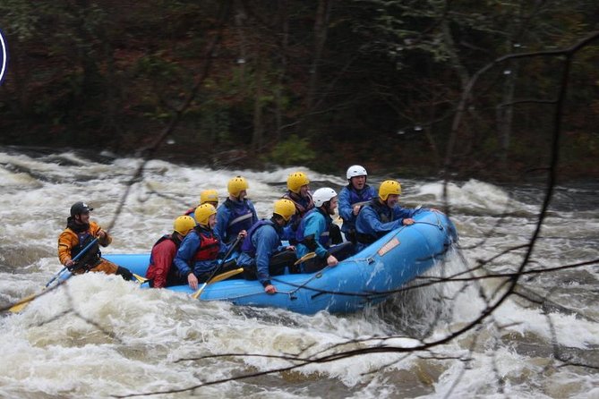 White Water Rafting on the River Tay From Aberfeldy - Overview of the Experience