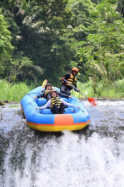 White Water Rafting Telaga Waja Best of Bali Oneday Tour - Inclusions